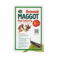 Image of Beternak Maggot Black Soldier Fly / Kis Dewantoro